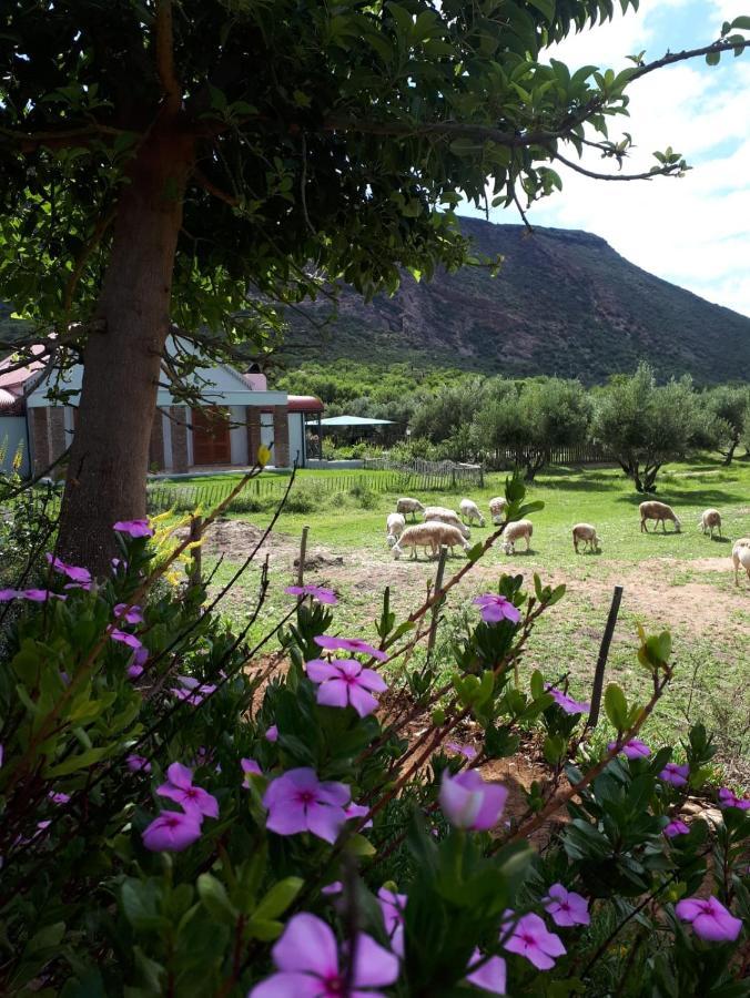 Baviaanskloof Landhuis Studtis Exterior photo